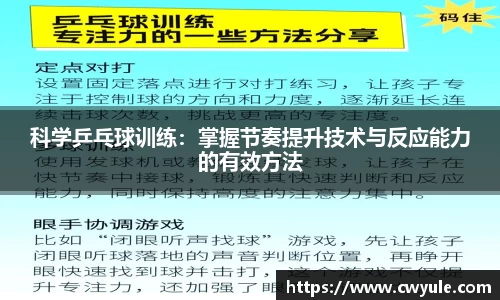 科学乒乓球训练：掌握节奏提升技术与反应能力的有效方法