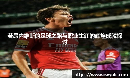 若昂内维斯的足球之路与职业生涯的辉煌成就探讨